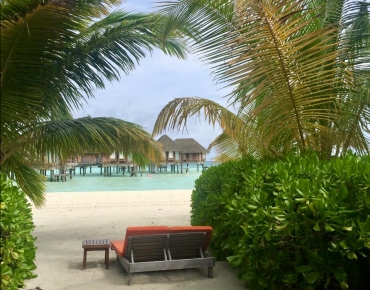 18622350_1651512888255078_2525029876247881039_n