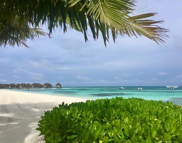 18664638_1651512838255083_5743479200466520682_n