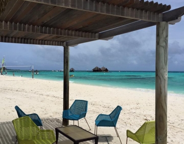 18739956_1651513071588393_3464480574987570310_n