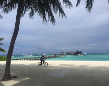 18765960_1651512811588419_8124358707081360226_n