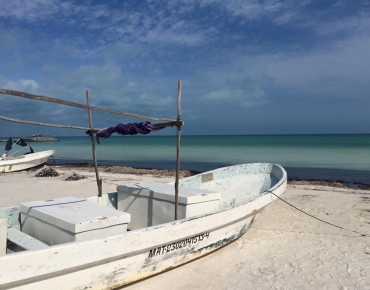 18446585_10210973918357920_7700490747504080106_n