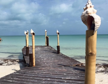 18485331_10210973916757880_7469288693397555910_n