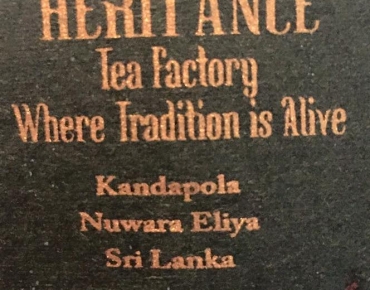 18582041_10211045226220572_5257059856586954675_n